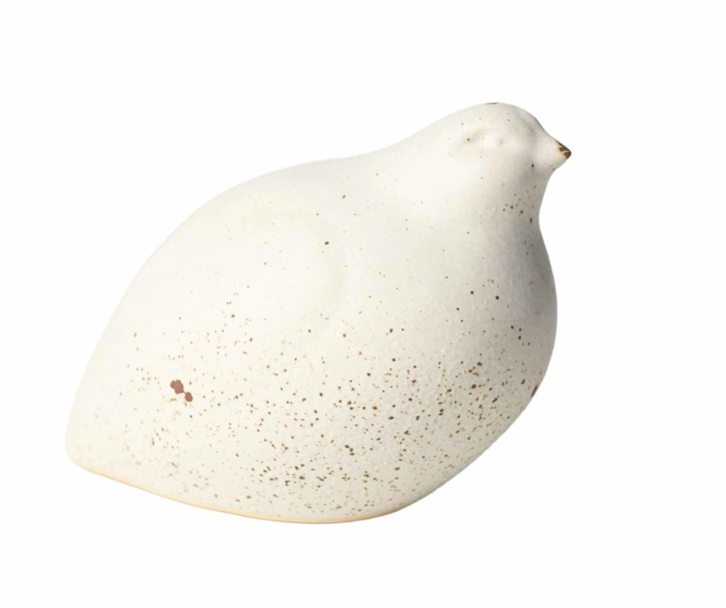 Ptaszek Piasek Pustyni 2