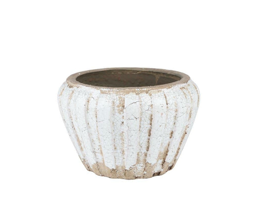 Osłonka Delia Pękata A