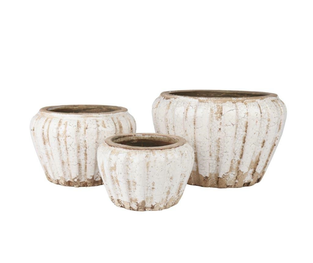 Osłonka Delia Pękata C