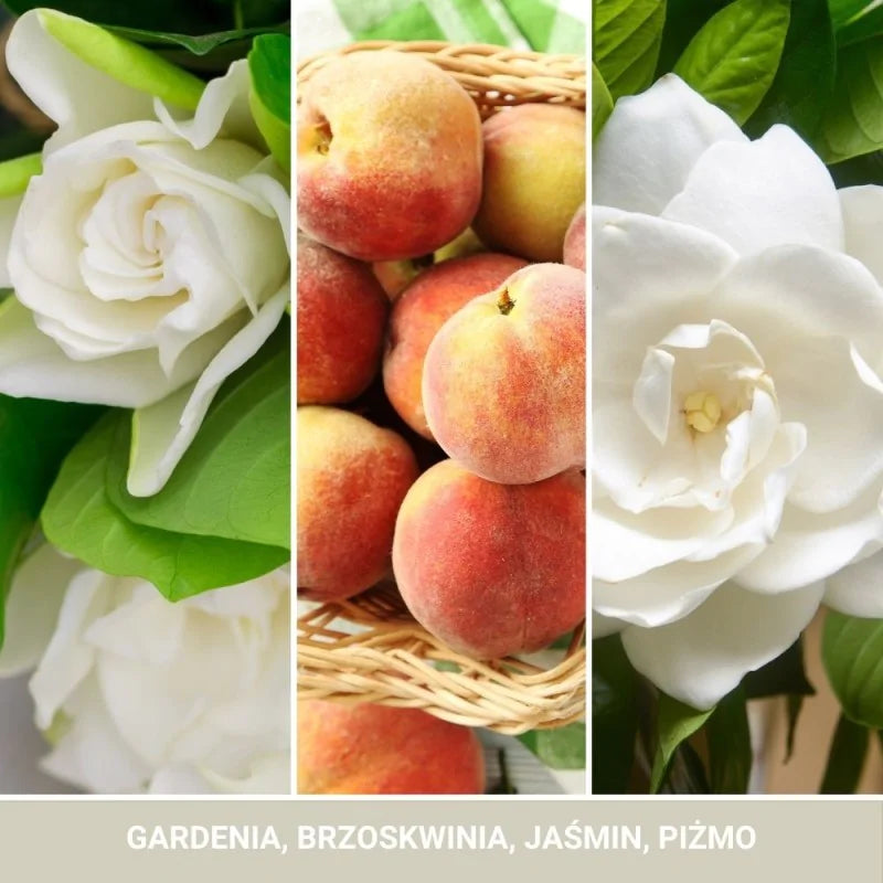 Świeca Średnia White Gardenia