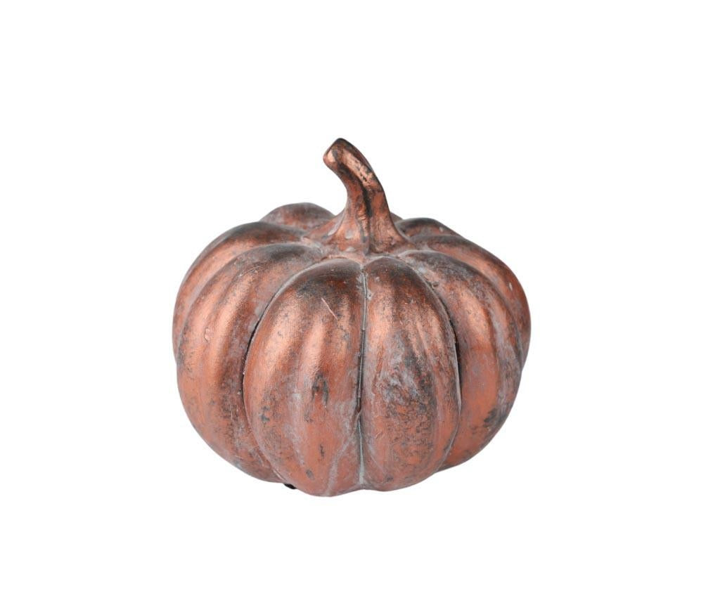 Dynia Florencja C