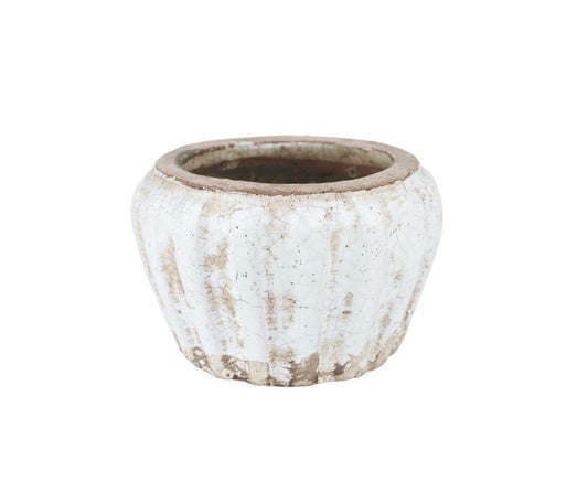 Osłonka Delia Pękata C