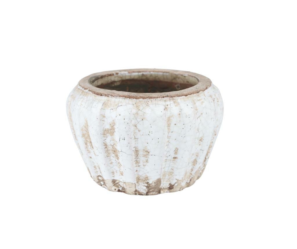 Osłonka Delia Pękata C